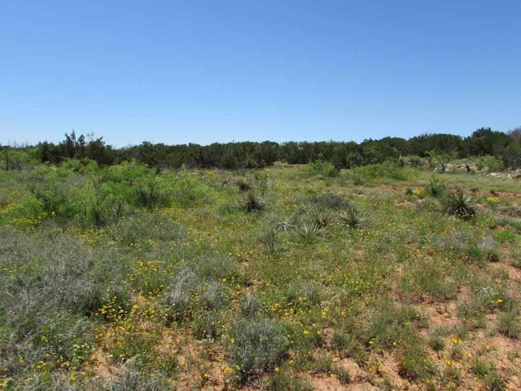 Crump Ranch Chas S. Middleton