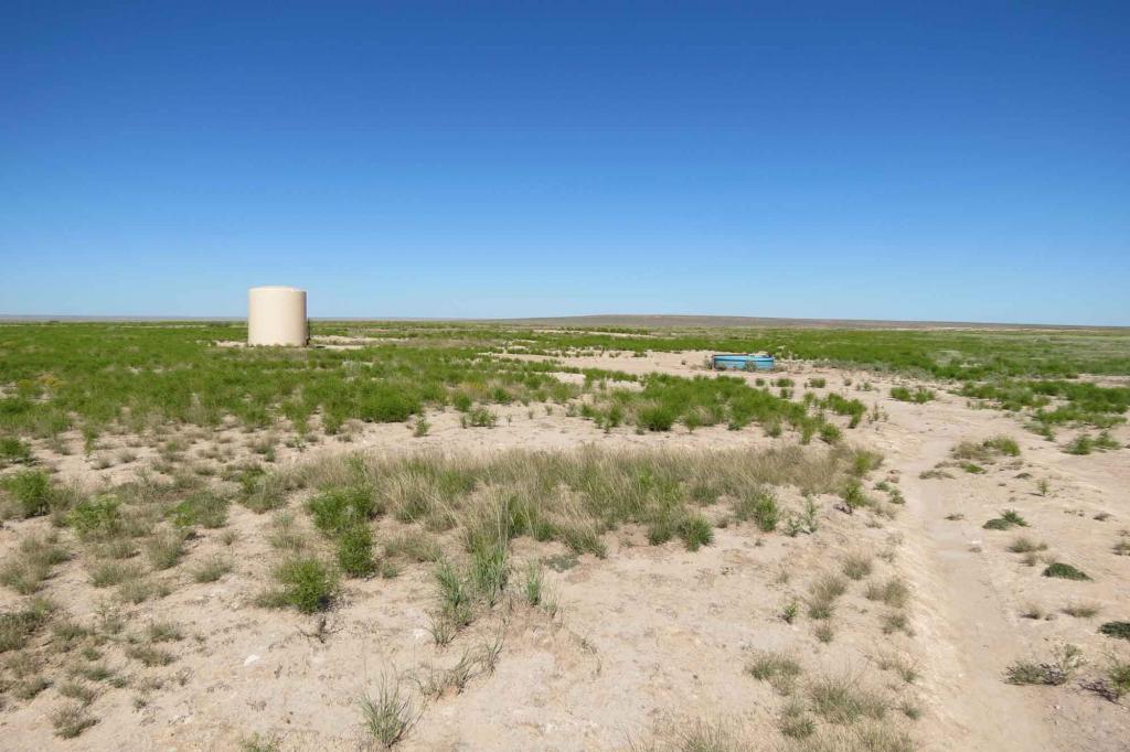 Peterson Ranch Chas S. Middleton