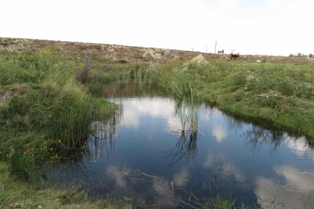 Alcorn Tahoka Lake Ranch Chas S. Middleton