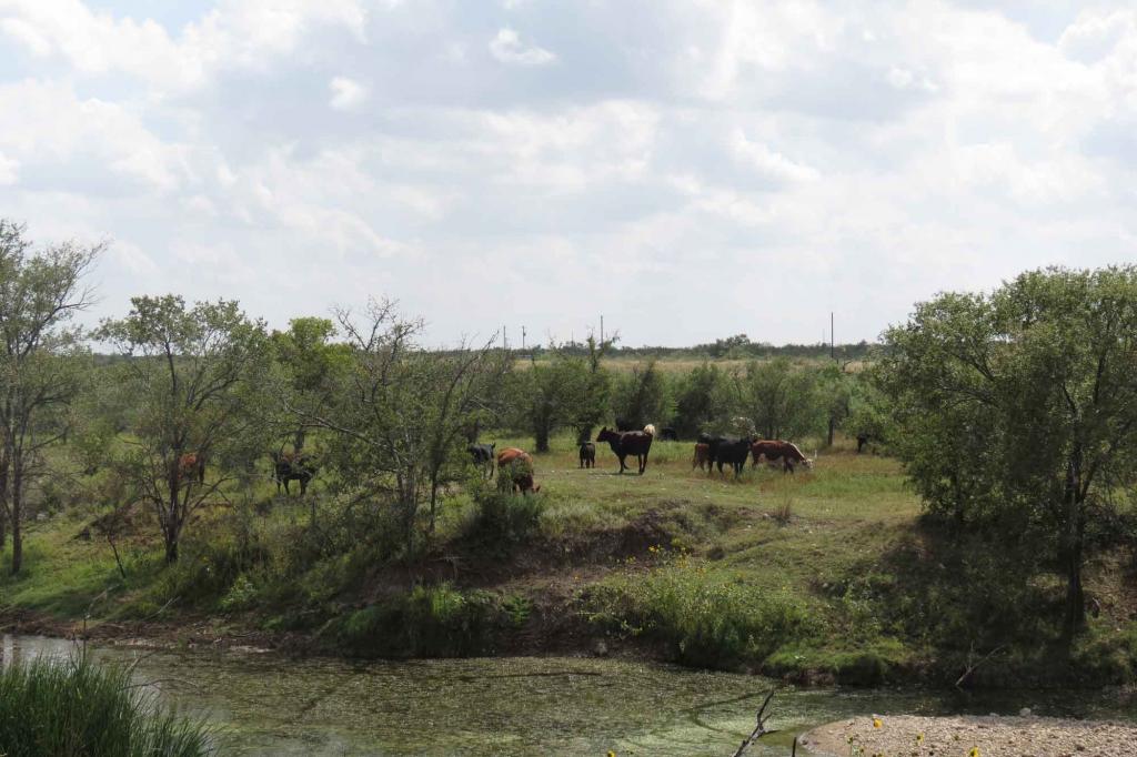 Alcorn Tahoka Lake Ranch Chas S. Middleton