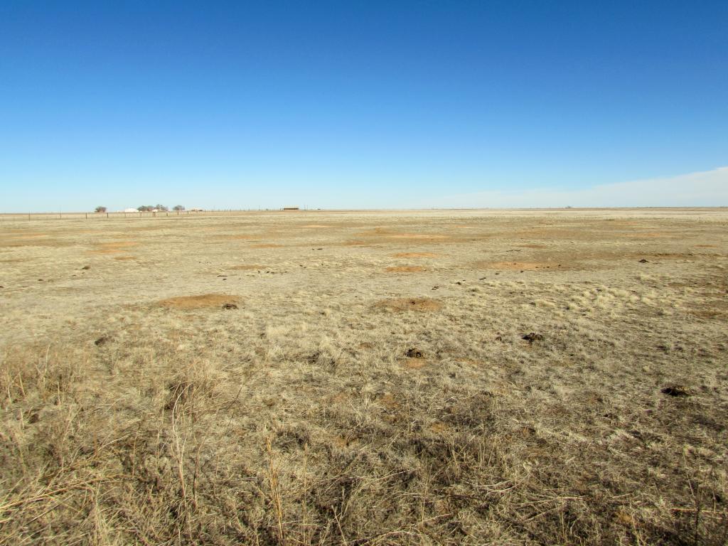 Vaughn Farm Chas S. Middleton