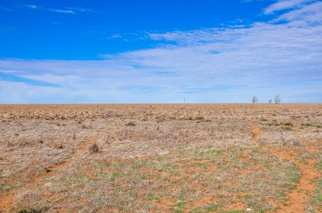 Wilson Ranch Chas S. Middleton