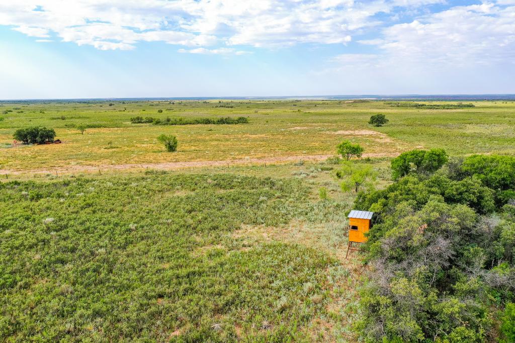 Cash Family Codorniz Ranch Chas S. Middleton