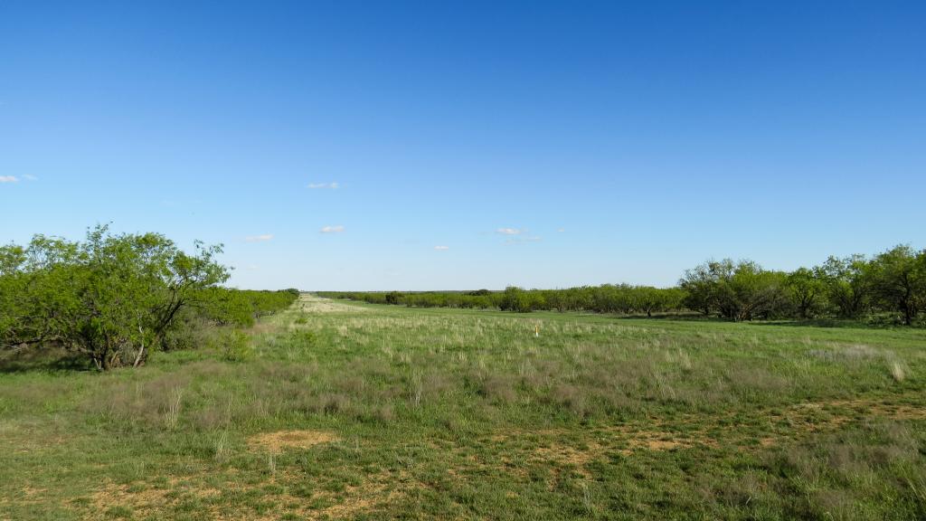 Snyder Family Ranches Cutbirth Pasture Chas S. Middleton