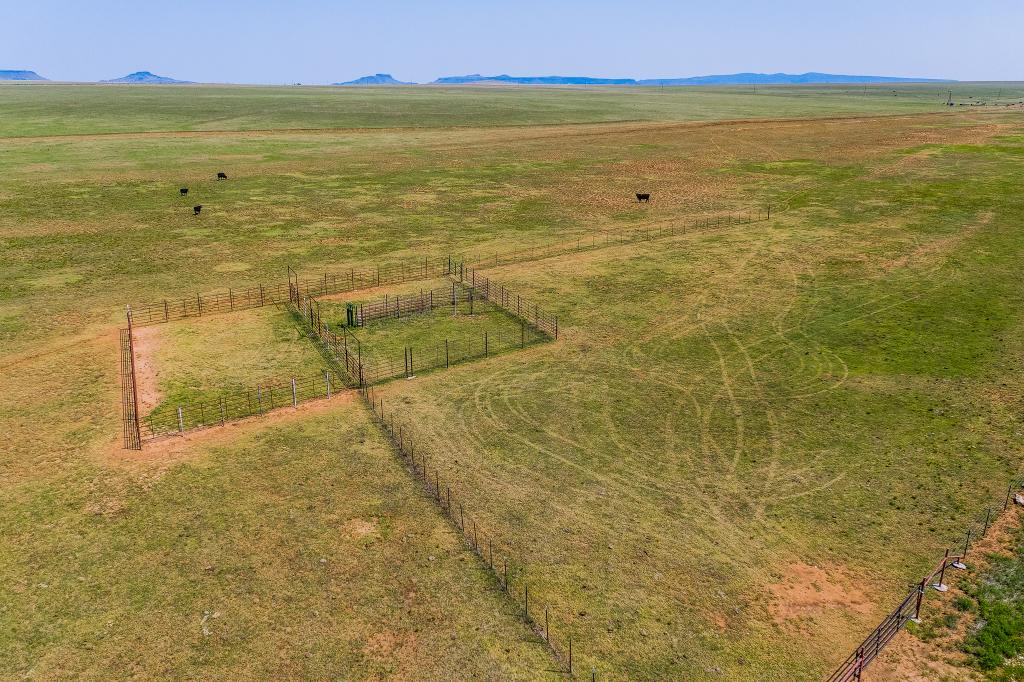 Optimo Ranch Chas S. Middleton