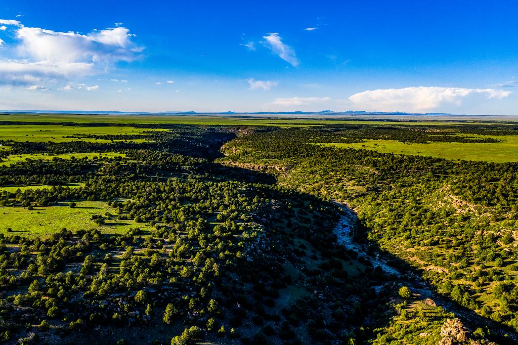 Valdez Pasture Ranch Chas S. Middleton