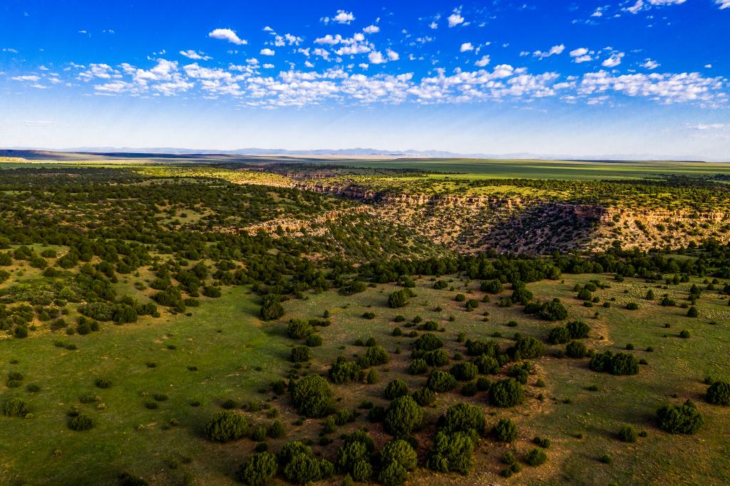 Valdez Pasture Ranch Chas S. Middleton