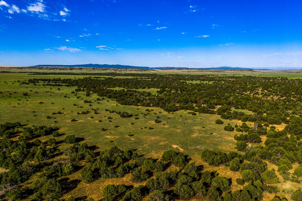 Valdez Pasture Ranch Chas S. Middleton