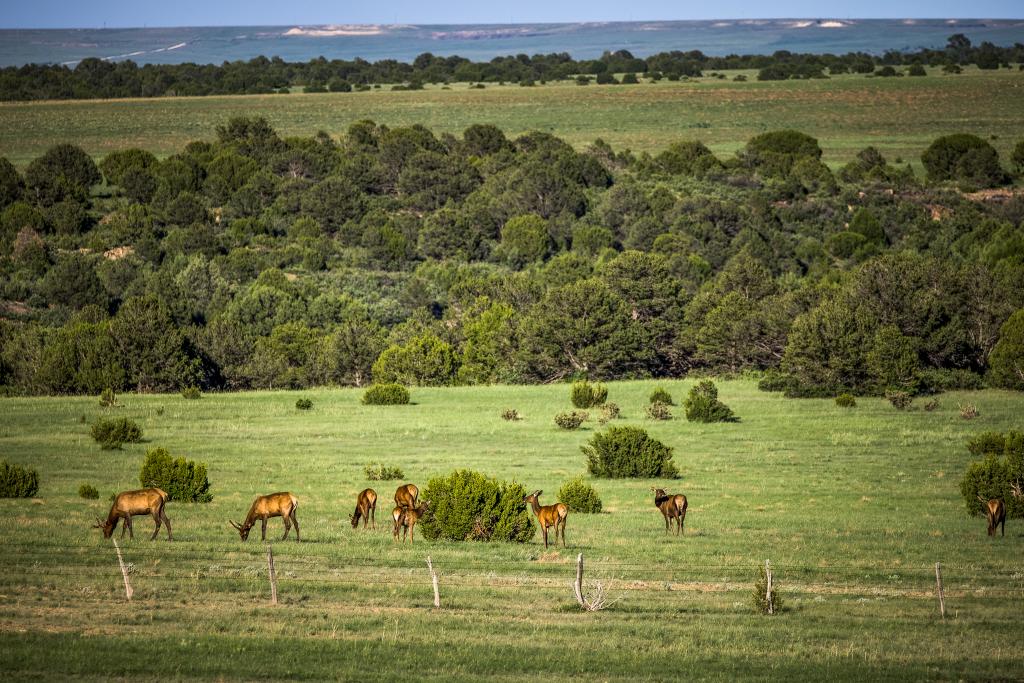 Valdez Pasture Ranch Chas S. Middleton