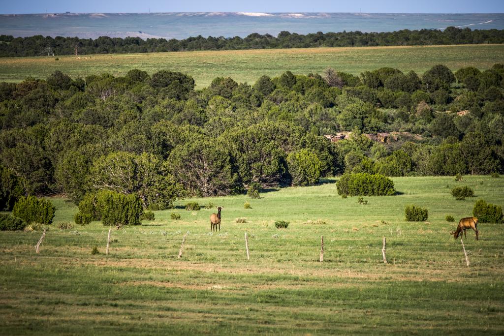 Valdez Pasture Ranch Chas S. Middleton