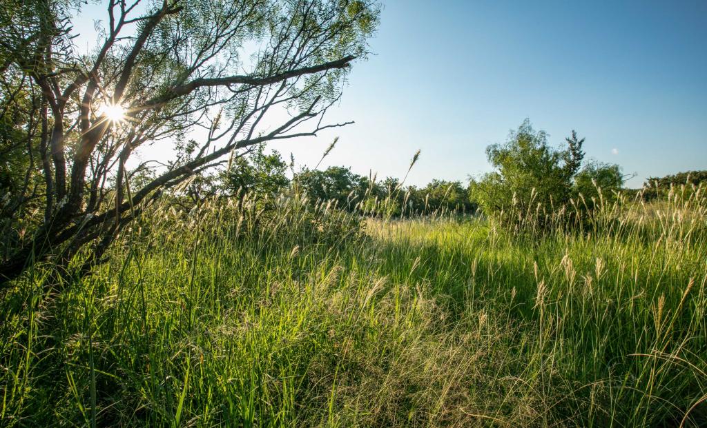 Quail Flats Ranch Chas S. Middleton