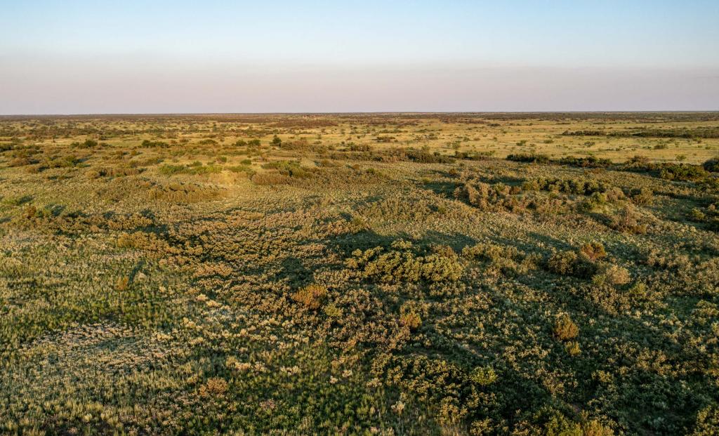 Quail Flats Ranch Chas S. Middleton