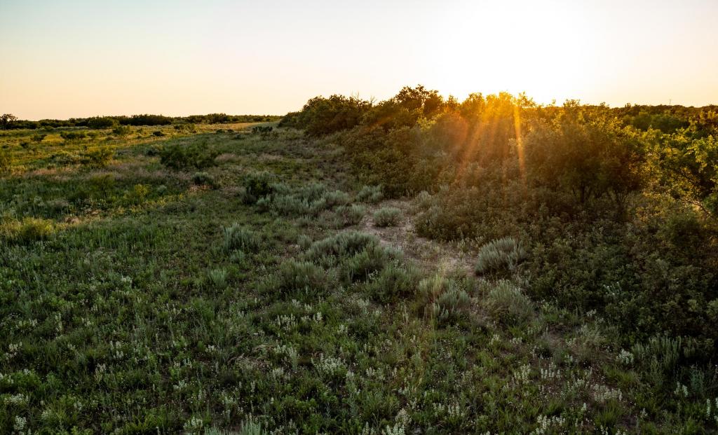 Quail Flats Ranch Chas S. Middleton