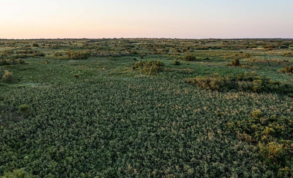 Quail Flats Ranch Chas S. Middleton