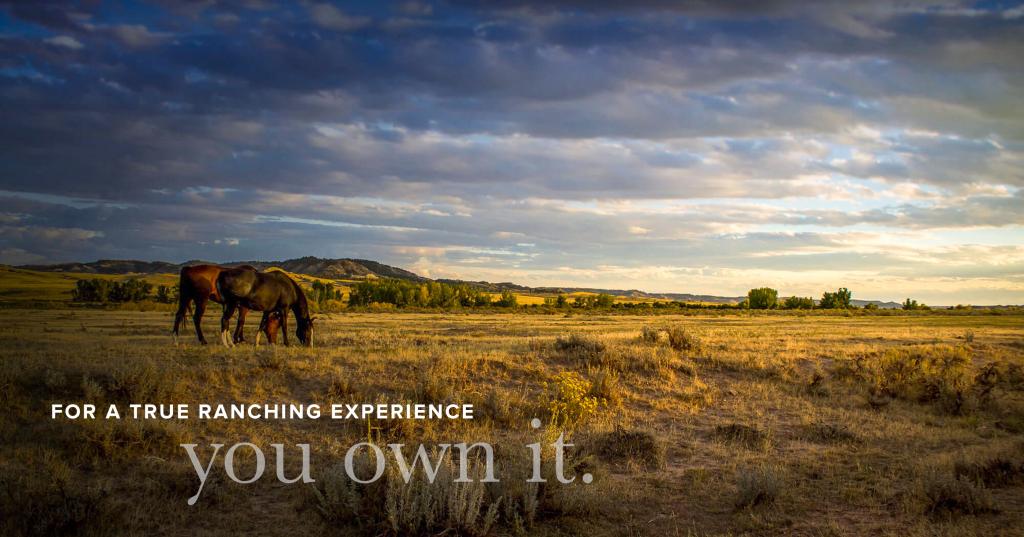 Ranching | Middleton & Son Land Broker