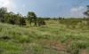 Cottle County Dos Rios Ranch | Chas S. Middleton