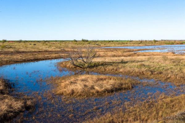 Swenson Family Flat Top Ranch | Chas S. Middleton